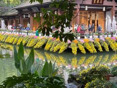 -杭州植物园