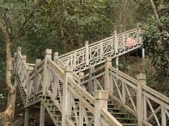 -南宁良凤江国家森林公园