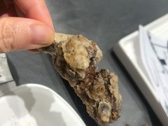 -大鹏饭店·金陵家宴(奥体中心店)