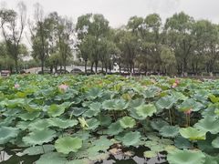-哈尔滨师范大学(松北校区)