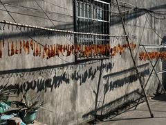 -东钱湖旅游度假区