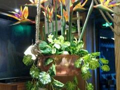 -云海肴·汽锅鸡·云南菜(天津国金汇店)