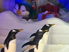 -郑州银基冰雪世界
