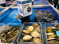 -盒马X会员店(上海森兰商都店)
