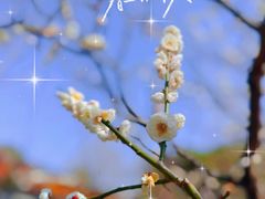 -静安雕塑公园