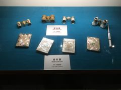 -青岛贝壳博物馆