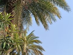 -杭州千岛湖开元度假村