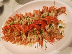 -大东海海鲜酒楼(渔人码头总店)