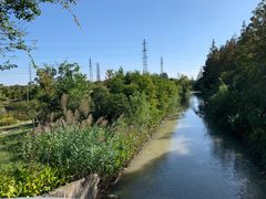 -上海长兴岛郊野公园