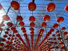 -北戴河集发农业梦想王国