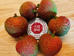 -深圳大学(丽湖校区)