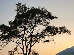 -青岛崂山太清宫