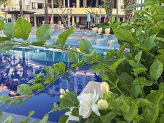 -亚龙湾海底世界