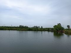 -八仙台服务区-停车场