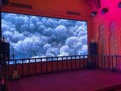 -清真·双公羊·馕坑烤全羊(奥体店)