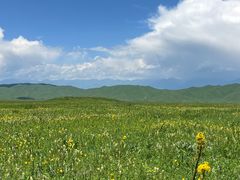 -新疆那拉提国家旅游度假区