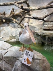 -Zoolung Zoolung动物主题公园(海信广场店)