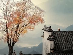 -塔川景区