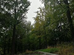 -阳台山自然风景区