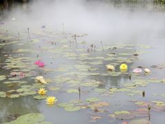 -苏州上方山国家森林公园