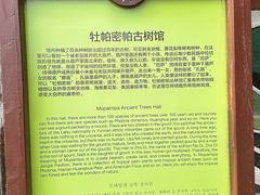 -呀路古热带植物园