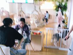 -Husky Go! 哈士奇体验馆·宠物咖啡厅狗咖