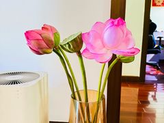 -梅陇花鸟市场-停车场