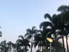 -深圳湾公园(南山区)