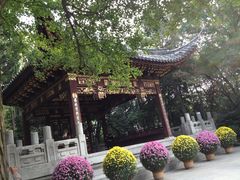 -汇龙潭