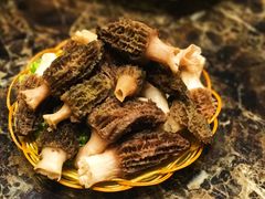 羊肚菌-菌海森林野生菌火锅(摩根道店)