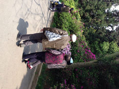 iphone_upload_pic-湖南烈士公园(芙蓉区)