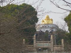 -苏州上方山国家森林公园