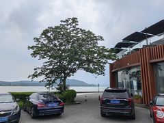 -水上明月·湖景餐厅
