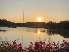 -福田红树林生态公园