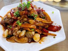-品雅轩农家乐