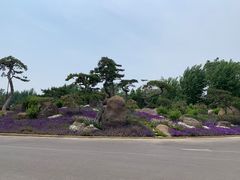 -罗红摄影艺术馆