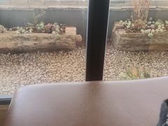 -品味泸沽湖•民族特色菜(大落水店)