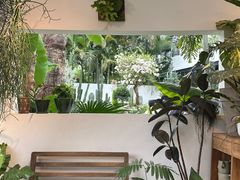 -自由生长植物工作室(深港花卉中心店)