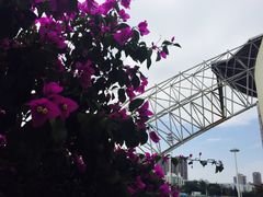 -珠海市体育中心-游泳馆