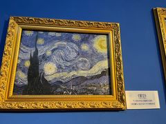 -上海梵高星空艺术馆(南京路旗舰店)
