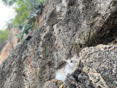 -抚仙湖禄充风景区