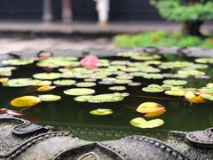 -宝光寺