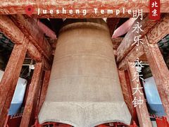 -大钟寺古钟博物馆