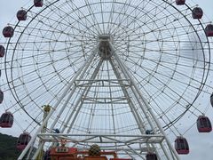 -松鼠王国