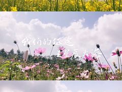 -光明小镇欢乐田园