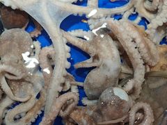 -澜小宴·胶东海鲜烟台味(时光塔店)