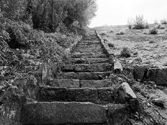 -白水寺森林公园