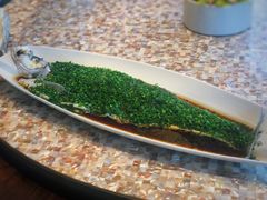 白水鱼-临江宴(陆家嘴店)