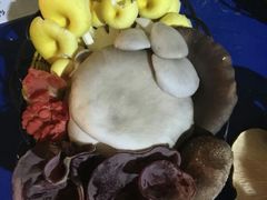 -仙蘑洞