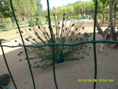 -鄂尔多斯野生动物园